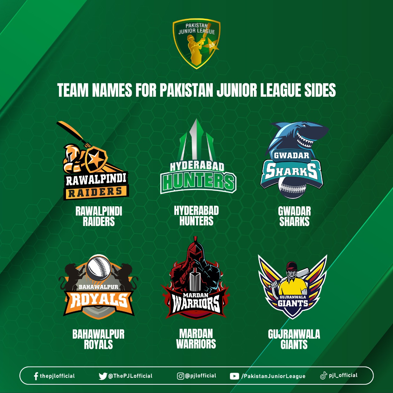 Pakistan Cricket Team Names List