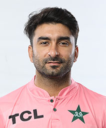 Mohammad Salman Mirza