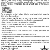 Job Opportunity at PCB