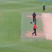 Pakistan vs New Zealand, 5th ODI at Wellington