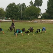 Morning training session at Army School of Physical Training, Kakul