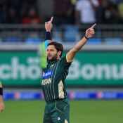 Shahid Afridi celebrates the wicket of Wialliamson