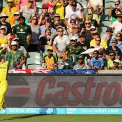 Finch takes the catch of Shahid Afridi