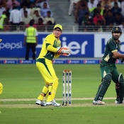 Aaron Finch at slip takes the catch of Ahmed Shehzad