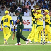 Australia players celebrate the wickets of Shahid Afridi