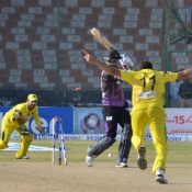Peshawar Panthers Imran Khan removes the middle stump of Asad Ali and leads Panthers in the semis