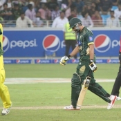 Johnson celebrates the wicket of Shahid Afridi