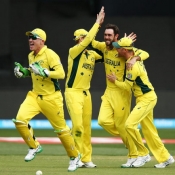 Maxwell and teammates celebrate the wicket of Misbah-ul-Haq